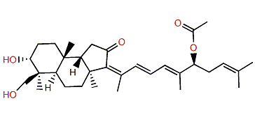3-Epi-29-hydroxystelliferin E